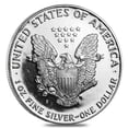thumbnail image 3 of 1 oz Proof Silver American Eagle (Abrasions, Random Year), 3 of 3