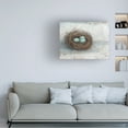 thumbnail image 2 of Trademark Fine Art Ethan Harper Rustic Bird Nest I Canvas Wall Art - 24x32, 2 of 5