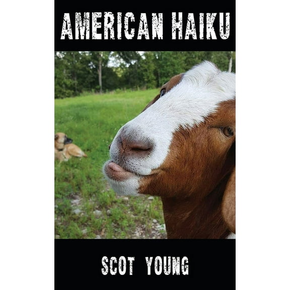 American Haiku, (Paperback)