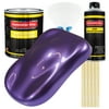 Restoration Shop - Plum Crazy Metallic Acrylic Enamel Auto Paint, Complete Gallon Paint Kit, Single Stage High Gloss