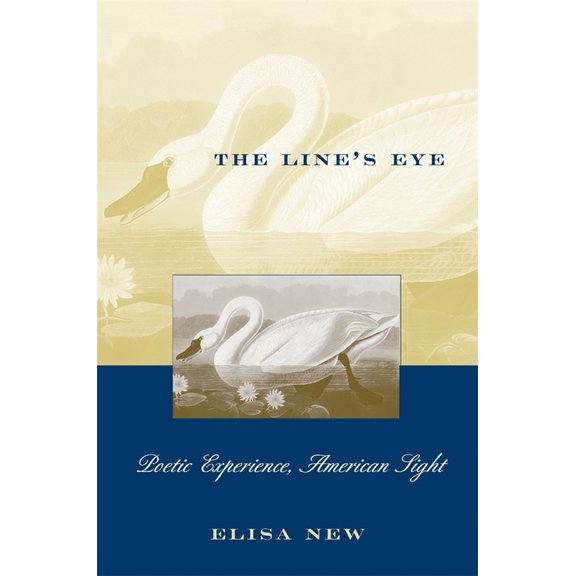 The Line's Eye: Poetic Experience, American Sight, (Paperback)