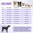 thumbnail image 2 of AUTOWT Recovery Suit for Dogs, Zipper Onesie for Male & Female Dogs, Abdominal Wound & Licking Prevention, Cone E-Collar Alternative, 2 of 7