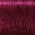 thumbnail image 2 of Schwarzkopf Igora Royal Permanent Hair Color - 6-88 Dark Extra Red Blonde, 2 of 6