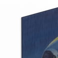 thumbnail image 2 of Luxe Metal Art 'Powder Blue Tang' by Durwood Coffey, Metal Wall Art, 36"x24", 2 of 9