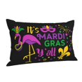 thumbnail image 2 of Kll Mardi Gras With Flamingo Pillow Covers Envelope Closure,Super Soft And Cozy Fuzzy Fleece Pillow Case Cover 16"X24", 2 of 8