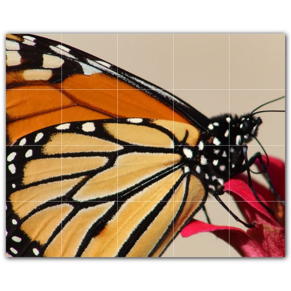 Picture-Tiles.com: Butterfly Ceramic Tile Wall Mural WAL500313-54M. 30"W x 24"H using (20) 6" x 6" Ceramic Tiles-Satin Finish
