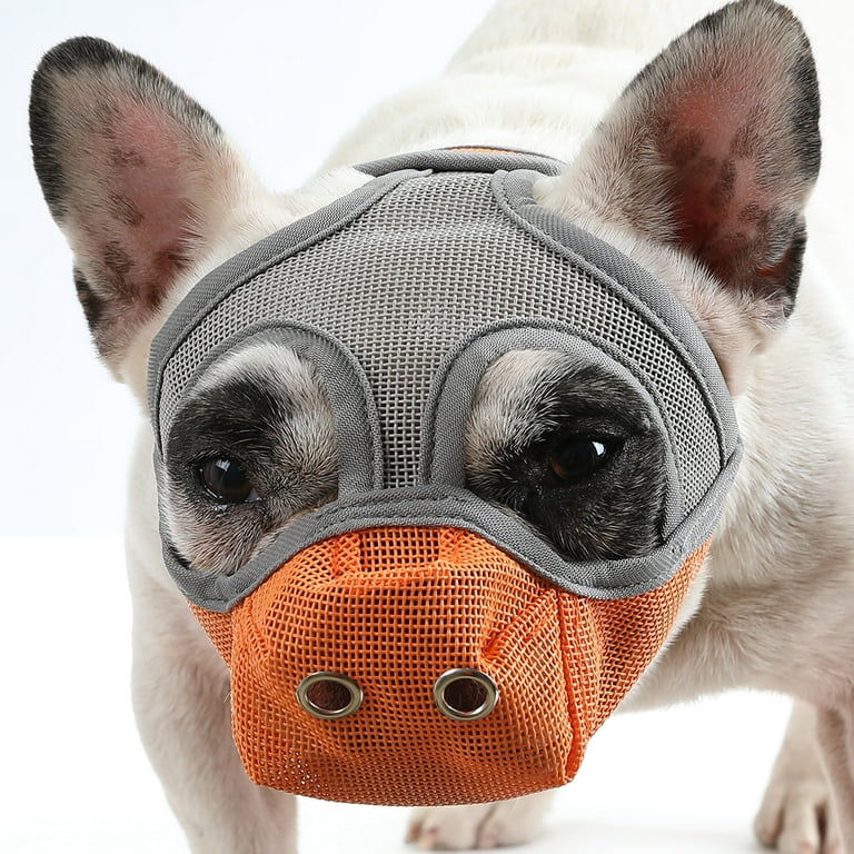 Dog muzzle for biting walmart outlet