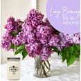 thumbnail image 3 of Soy Candle Nika's Home con aroma a lila, 350 ml, tarro Mason, 50-60 h, 3 of 8