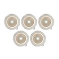 thumbnail image 2 of Ostomy Barrier Rings, 5pcs Clear Scale Moldable Ostomy Rings Adhesive  for Excreta Collection, 2 of 7