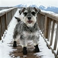 thumbnail image 3 of Bottes de Protection Toutes Saisons avec Semelles Coulissantes pour Marche en Plein Air Randonnée et Course - pour Chiens et Chats, 3 of 5