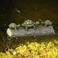 thumbnail image 5 of Mnhhatv Turtle Resin Garden Ornament Courtyard Outdoor Decor Lifelike Turtle Figurine for Yard Patio Flower Bed Pond Accent Feng Shui Symbolic Decoration Garden Home Landscape Outdoor Display, 5 of 8