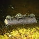 thumbnail image 5 of Turtle Ornaments Courtyard Decorations Garden Decorations Resin, 5 of 8