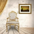 thumbnail image 3 of Illg, Cathy and Gordon 32x23 Gold Ornate Wood Framed with Double Matting Museum Art Print Titled - AK, Fairbanks Aurora borealis and star trails, 3 of 4