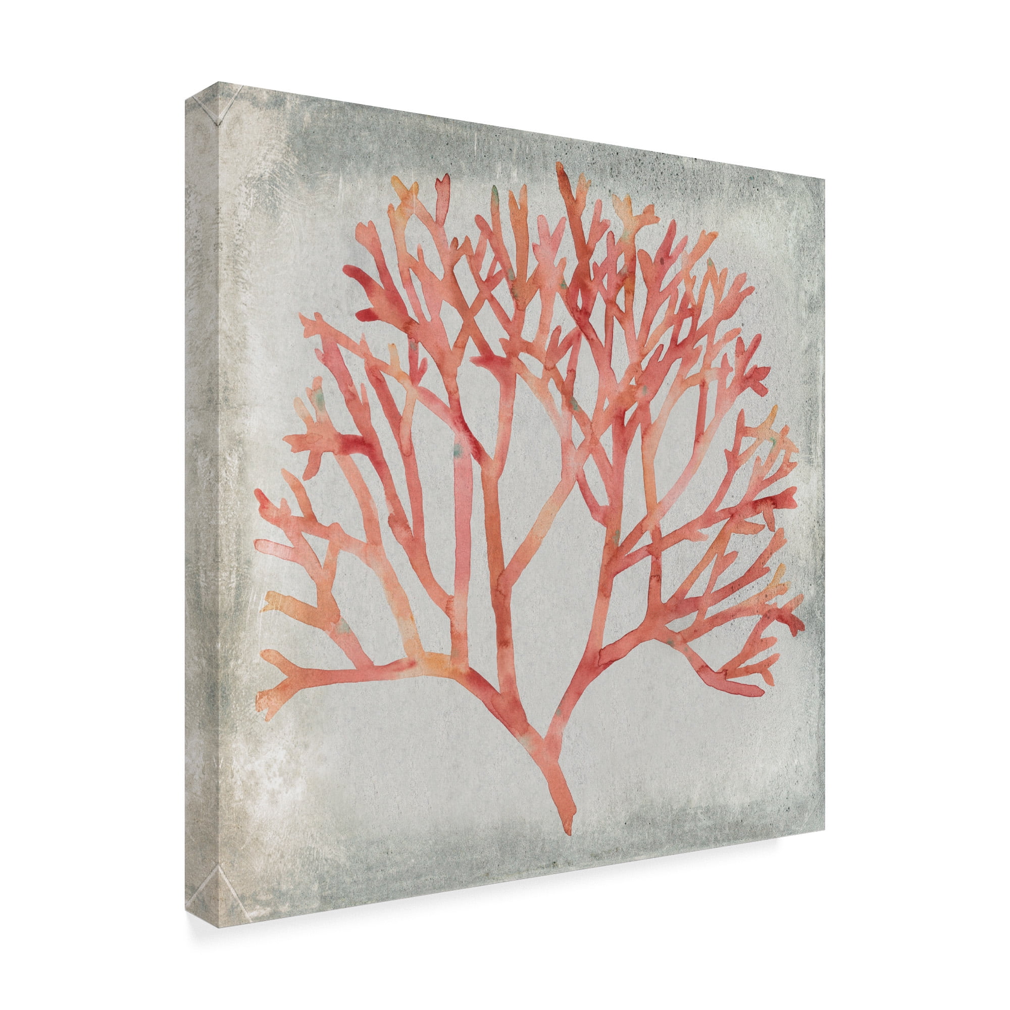 Trademark Fine Art 'Watercolor Coral IV' Canvas Art by Megan Meagher