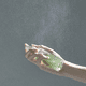 thumbnail image 4 of Ampolla Mist celimax Noni Energy, 4 of 4