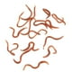thumbnail image 4 of Señuelo de pesca suave con forma de gusano de 10 cm y olor a pescado, con caja para pescadores., 4 of 14