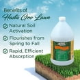 thumbnail image 2 of Medina Hasta Gro Lawn Food Fertilizer 12-4-8, 1 gal., 2 of 7