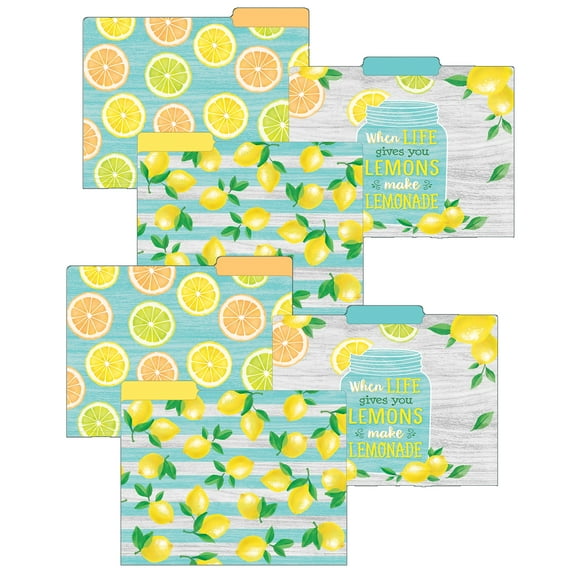 Teacher Created Resources Lemon Zest Letter-Sized File Folders, 12 Per Pack, 2 Packs