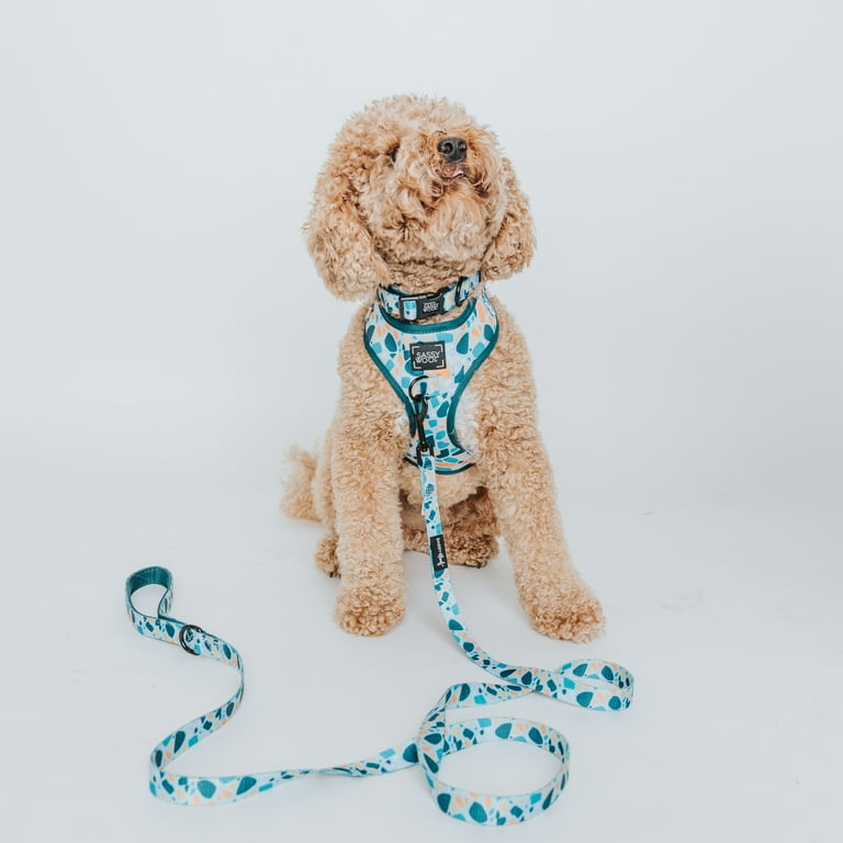 Sassy Woof Comfort Dual-Clip Adjustable Dog Harness - Blue