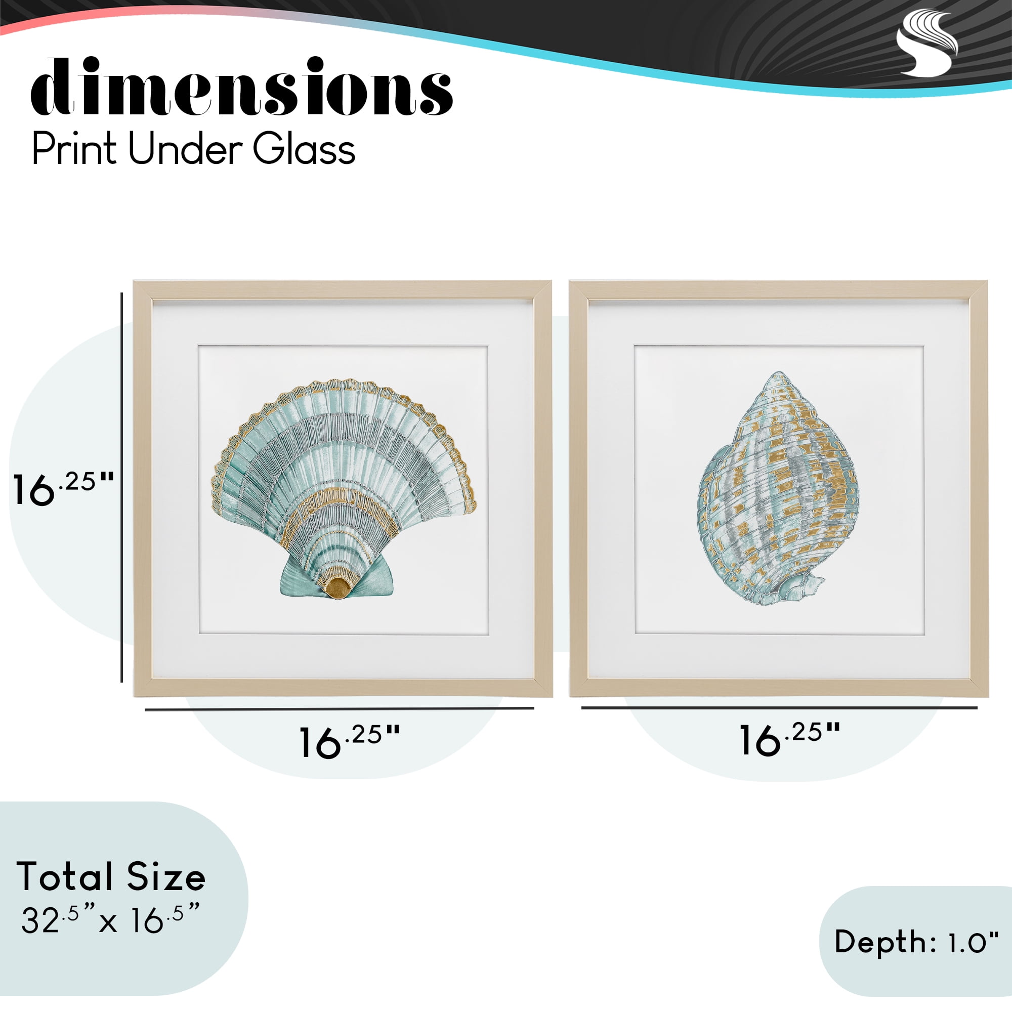 Stupell Industries Regal Clam Shell Duo 2 Piece Birch Framed Print Under Glass Set, design by Lorenzo Collective