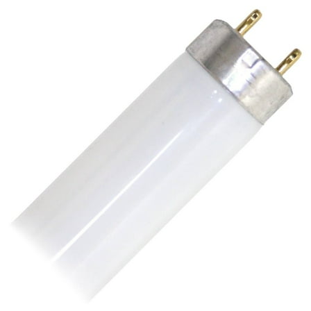 GE 15981 - F25T8SP35ECOCVG 3 Foot Plus Straight T8 Fluorescent Tube Light Bulb