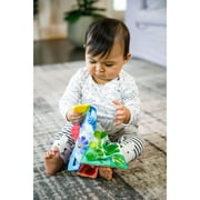 Baby Einstein Curious Explorers Teether Book