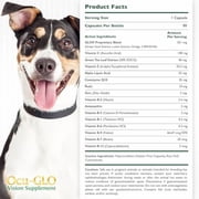 Ocu-GLO PB Vision Supplement for Medium & Large Dogs Easy to Administer Powder Blend with Lutein, Omega-3 Fatty Acids, Grape Seed Extract & Antioxidants to Promote Eye Health, 90ct Powder Capsules