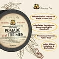 thumbnail image 5 of Sunny Isle Jamaican Black Castor Oil Hair Food Pomade For Men - Hair and Scalp Care - 4 oz, 5 of 6