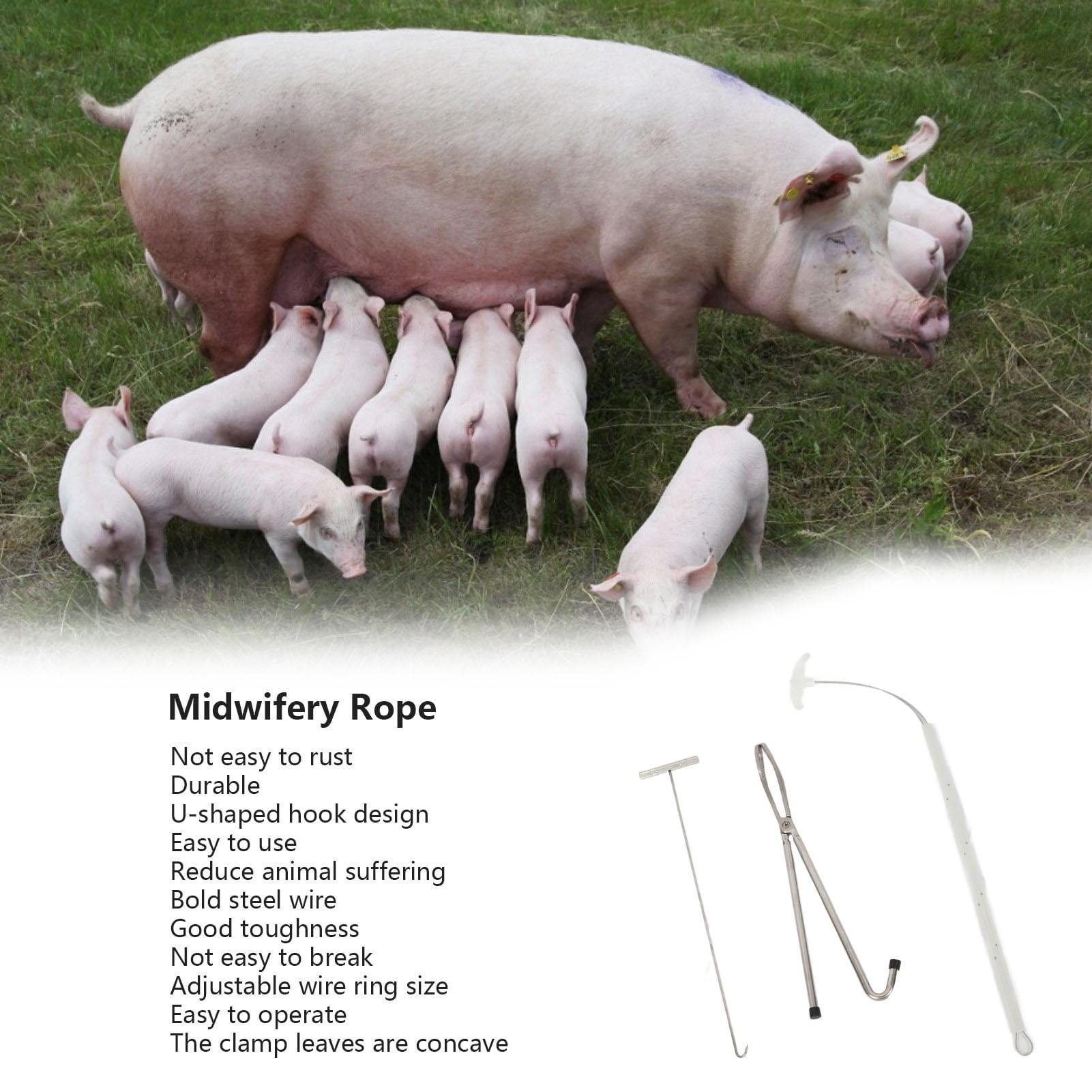 Swine Midwifery Set Tools Stainless Steel Livestock Swine Midwifery Rope Pliers Hook