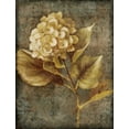 thumbnail image 2 of Loreth, Lanie 19x24 Gold Ornate Wood Framed with Double Matting Museum Art Print Titled - Antique Hydrangea II, 2 of 4
