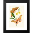 thumbnail image 2 of John Obadiah Westwood 18x24 Black Modern Framed Museum Art Print Titled - The Cabinet of Oriental Entomology Pl XXI (1848), 2 of 5