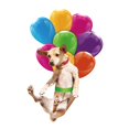 thumbnail image 1 of Adorno colgante para coche, diseño de globos, adorno colgante para espejo retrovisor. Perro Pastoral, 1 of 5