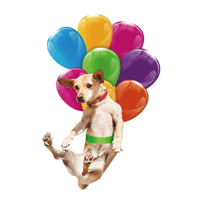 Adorno colgante para coche, diseño de globos, adorno colgante para espejo retrovisor. Perro Pastoral