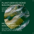 thumbnail image 3 of Sérum nocturno Aveda Botanical Repair Strengthening 30 ml, 3 of 8
