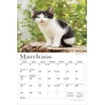 thumbnail image 3 of Calendario: Kittens, For The Love Of 2026 Mini 7X7 Plato Foil, 3 of 3