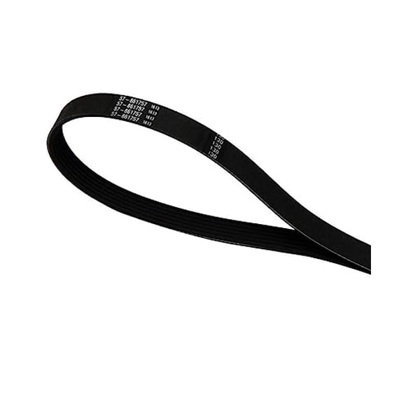 Serpentine Belt SS<861757