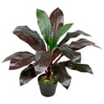 thumbnail image 4 of Northlight Real Touch™️ Red and Green Artificial Dracaena Potted Plant - 23", 4 of 9