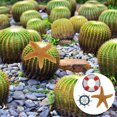 thumbnail image 2 of 3pcs Beach Theme Party Decorations Micro Landscape Ornaments Life Ring Models, 2 of 7