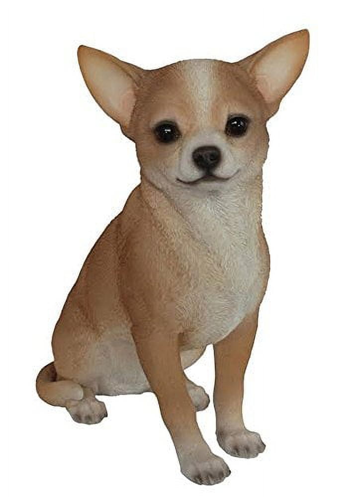 Cute dog chihuahua sunny ? animals area rug carpet in 2023