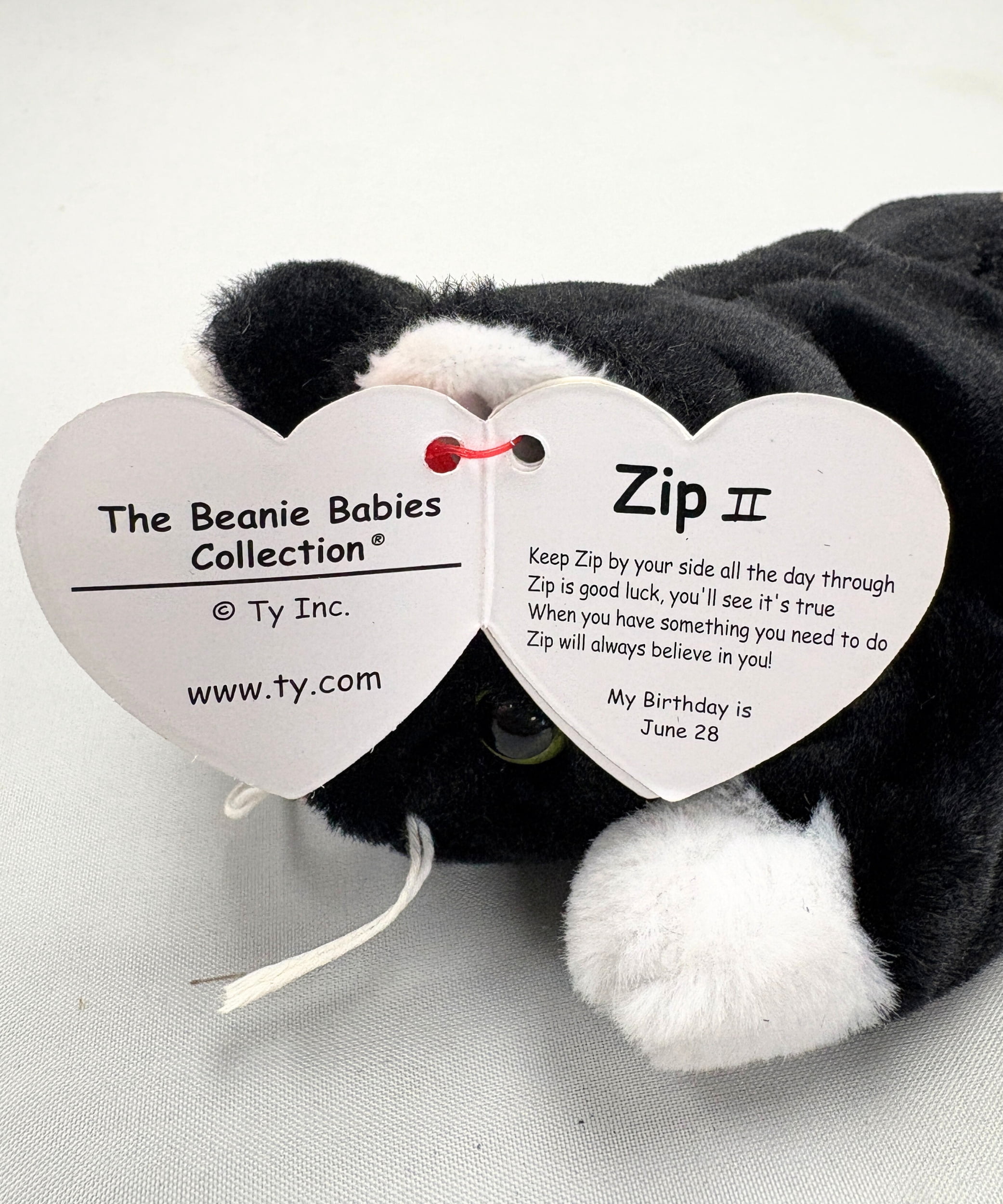 Ty Beanie Baby - Zip II the Cat  – 30th Anniversary  - Stuffed Animal