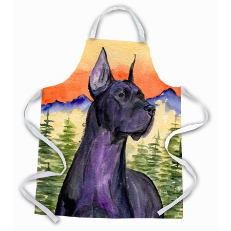Apron