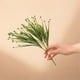 thumbnail image 1 of Fiudx Ofertas del día Planta de hojas artificiales Planta floral Rama de árbol Verde Decoración de boda para el hogar, 1 of 1