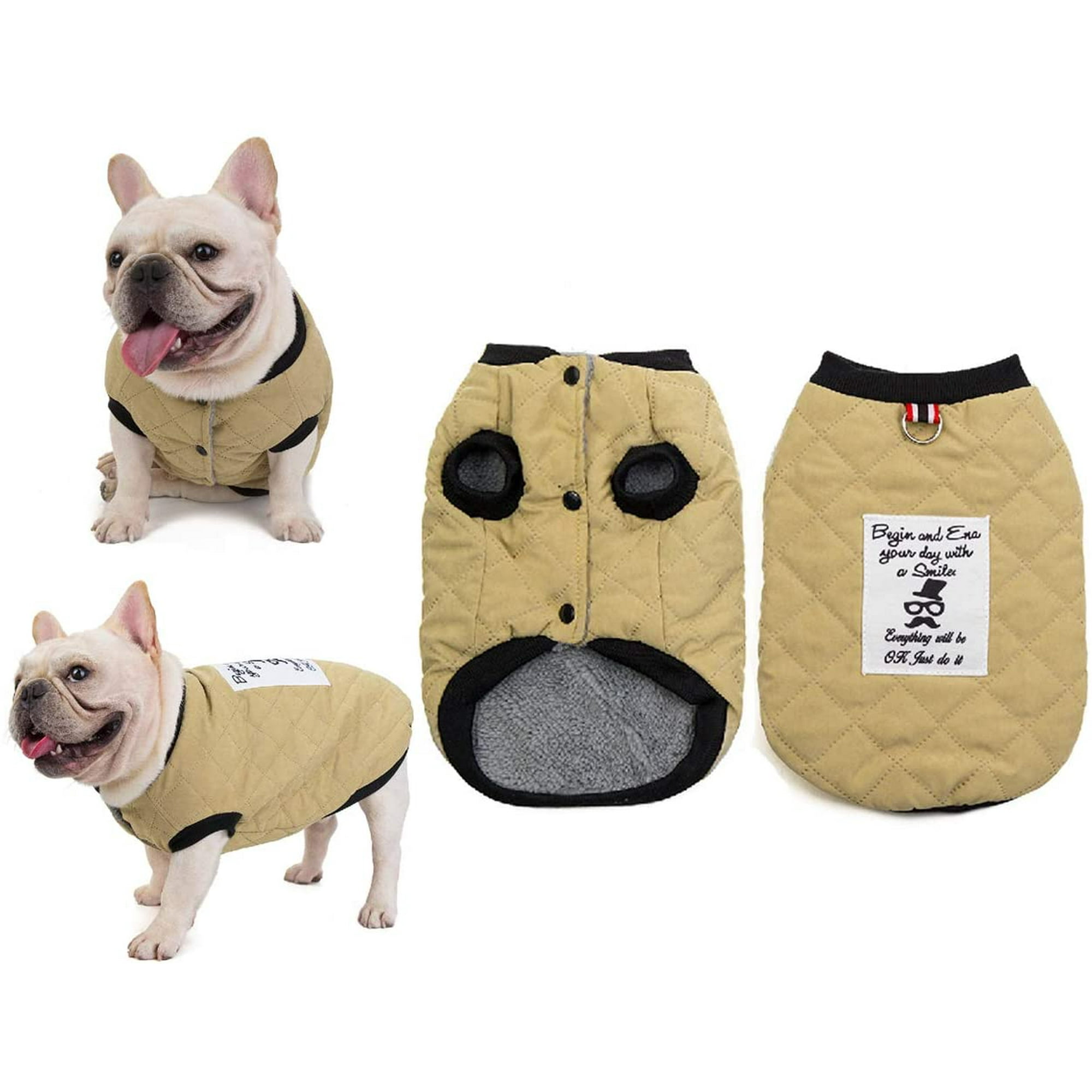 How Big Is A French Bulldogs Neck