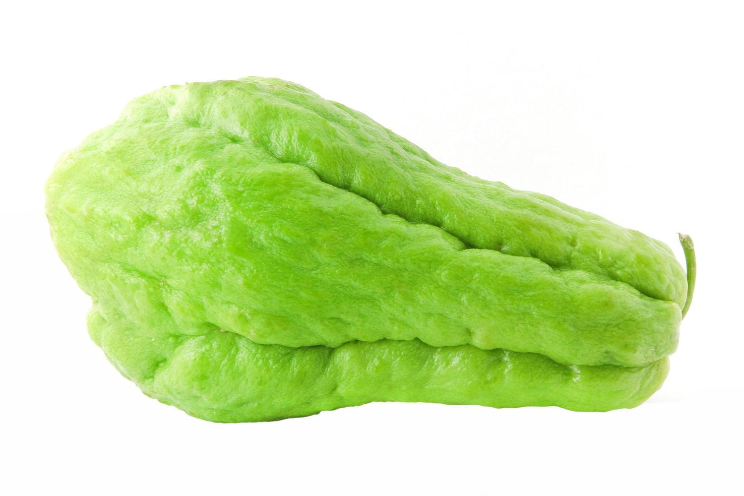 Courge chayotte (vendue individuellement)