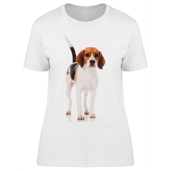 Beagle Dog. Standing T-Shirt Women -Image by Shutterstock, Female XX-Large