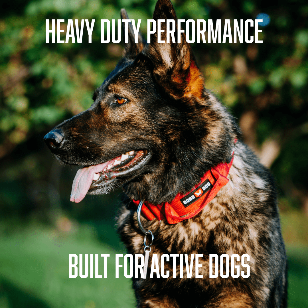 Boss Nation 850010391892 17-22 in. Dog Tactical Adjustable Dog Collar, Red - Large