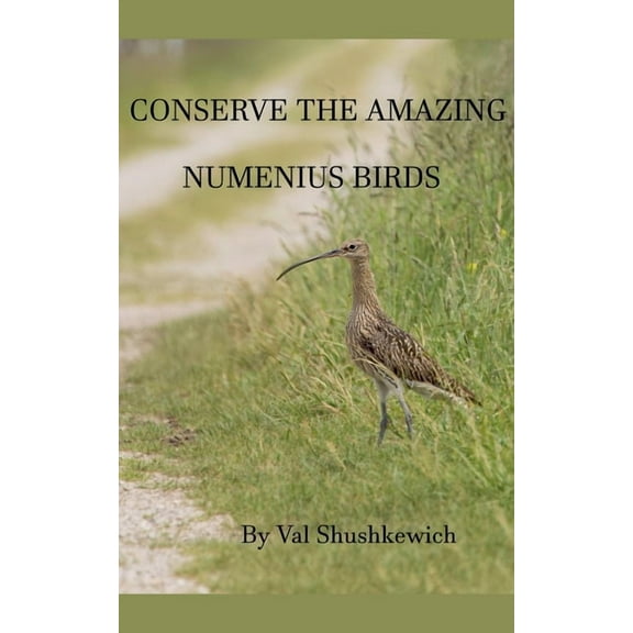 Conserve the Amazing Numenius Birds, (Paperback)