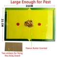 thumbnail image 2 of Mouse Traps,10 Pack RatTraps,Mouse Glue Board,Glue Boards Professional Strength That Work Capturing Indoor and Outdoor Rat, 2 of 5