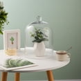thumbnail image 4 of 10" High & 7.5" Wide Handmade Sturdy Clear Glass Cloche Dome, Bell Jar,  Tabletop Decorative Case For Plants, Trinkets, Cakes, Figurines, LED Light String, 4 of 6