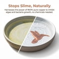 thumbnail image 3 of Copper Bird Bath Cleaner Disc, Durable Copper Material, Easy to Use, Chemical-Free, Suitable for All Bird Baths, Long-Lasting Water Treatment Accessory, 3 of 8